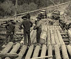 Men constructing timber bridge, 1942