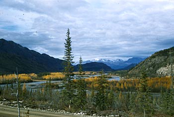 View along the Canol Road with fall colours. September 1944. 