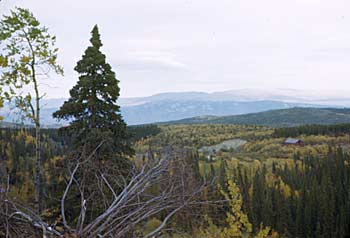 Mountain view near Whitehorse. ca. 1943. 