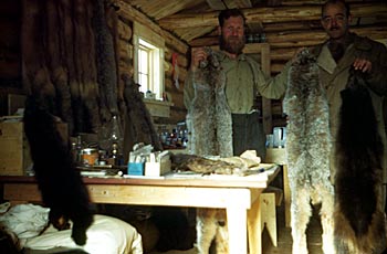 Inside a trapper's cabin